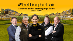 Horse racing trainer Willie Mullins